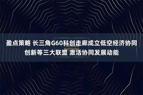 盈点策略 长三角G60科创走廊成立低空经济协同创新等三大联盟 激活协同发展动能