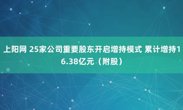 上阳网 25家公司重要股东开启增持模式 累计增持16.38亿元（附股）