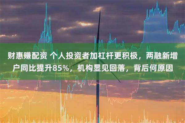 财惠赚配资 个人投资者加杠杆更积极，两融新增户同比提升85%，机构显见回落，背后何原因