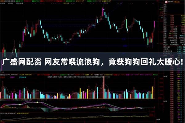 广盛网配资 网友常喂流浪狗，竟获狗狗回礼太暖心!